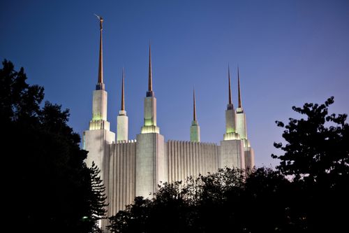 All six spires of the Washington D.C. Temple lit up at night, above the tree line.
