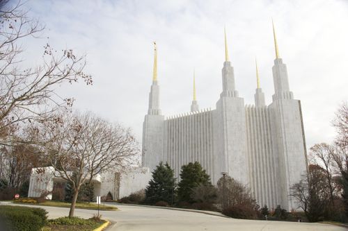 The whole Washington D.C. Temple, with a view from the side and with leafless trees on the grounds.