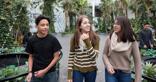 Young men and young women walk through Crystal Gardens at Navy Pier in Chicago. There are palm trees and other plants in the background.