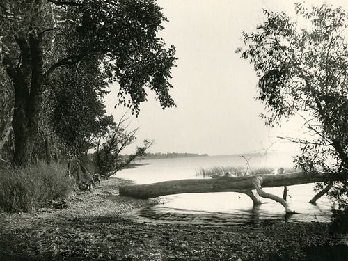 shore of Senaca Lake