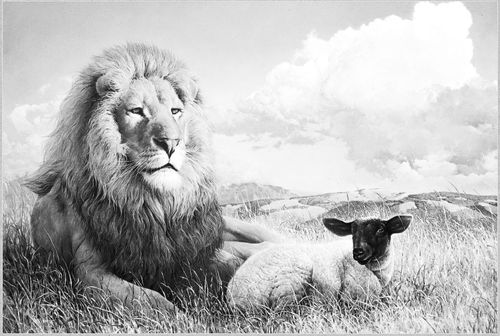 lamb and lion