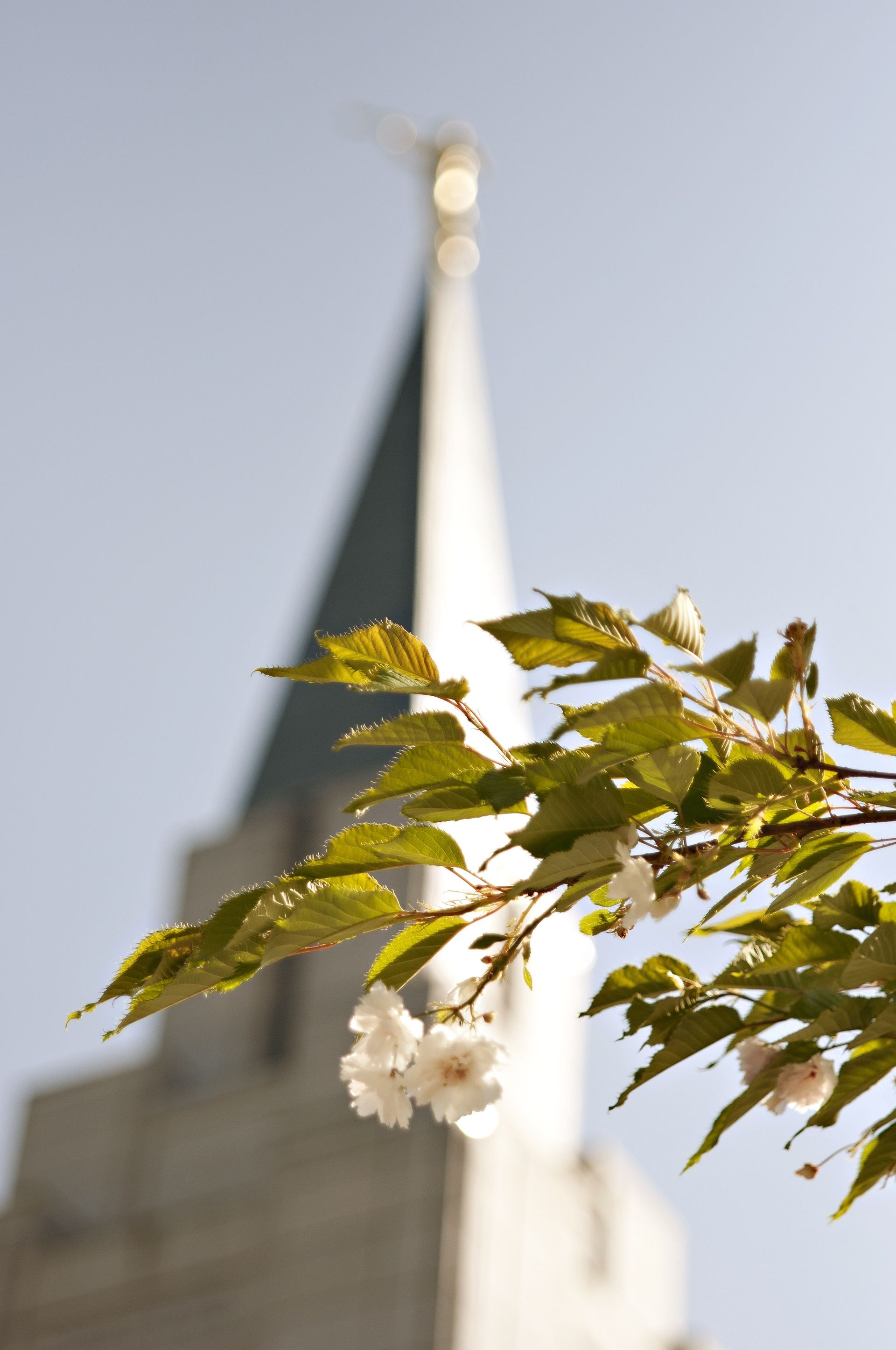 The Vancouver British Columbia Temple spire, with scenery.