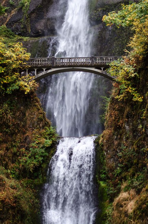 A bridge extends over Multnomah Falls in Oregon, with green and yellow brush on either side.