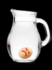 pitcher and egg