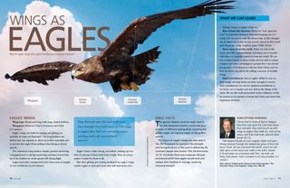 eagle wings article