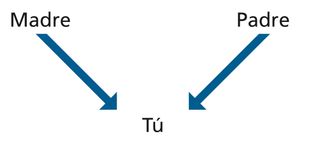 Diagrama de ascendencia