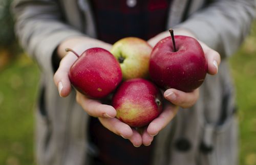 Woman holding a handful of apples