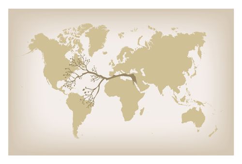 An illustration of a branch spanning several continents on a world map.