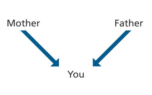 diagram, parents, you