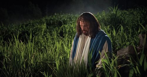 Cristo ajoelhado no Getsêmani. Cenas que incluem o salvador de costas, ajoelhado na grama alta, com aproximação de seu rosto parecendo com medo, à distância com sangue no rosto e mãos perto de um rio, um anjo confortando-o, retrato de perfil e um anjo brilhante vindo em direção a Cristo, que está encolhido no chão.