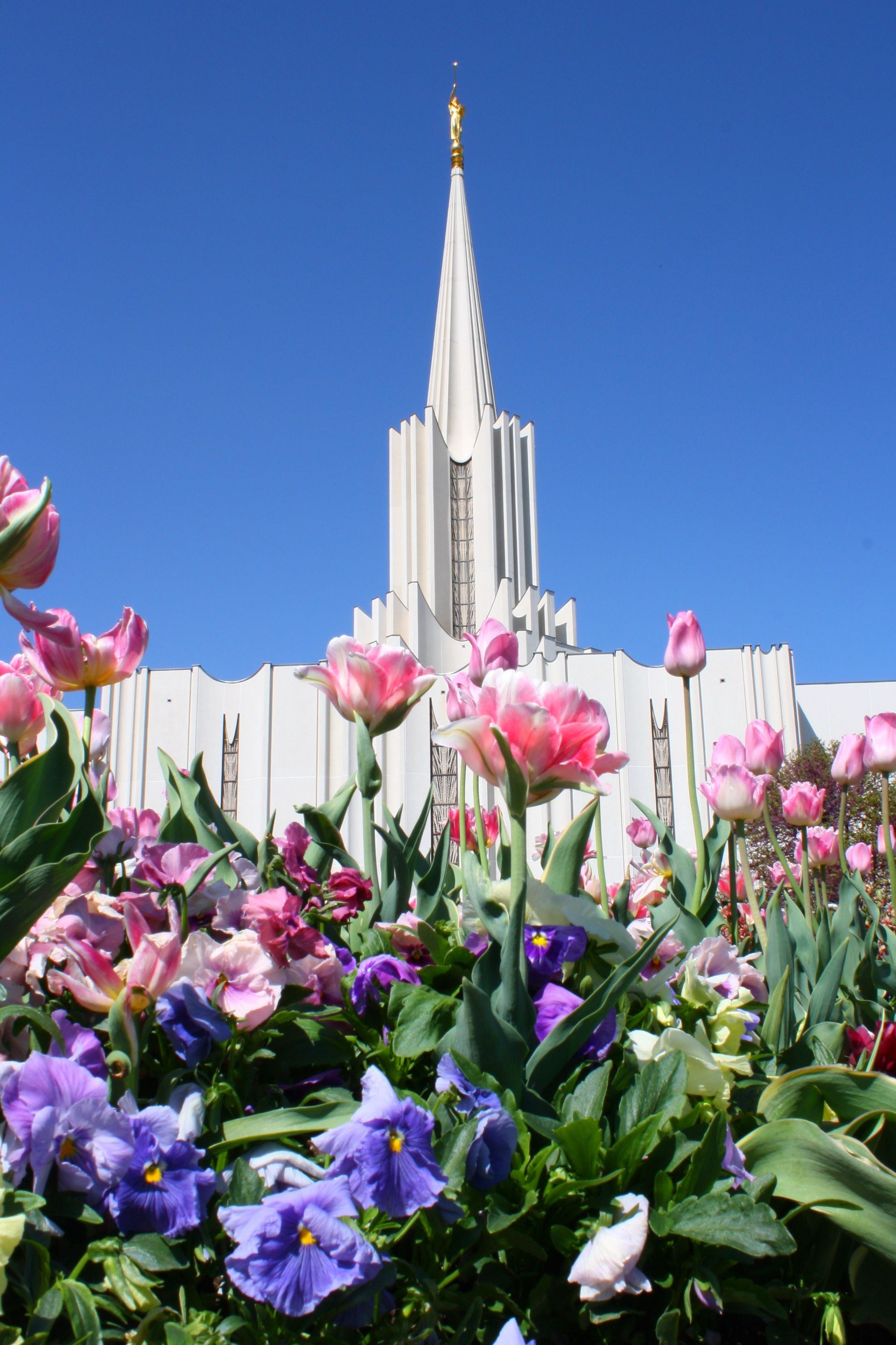 A view of the Jordan River Utah Temple from the grounds of the temple.