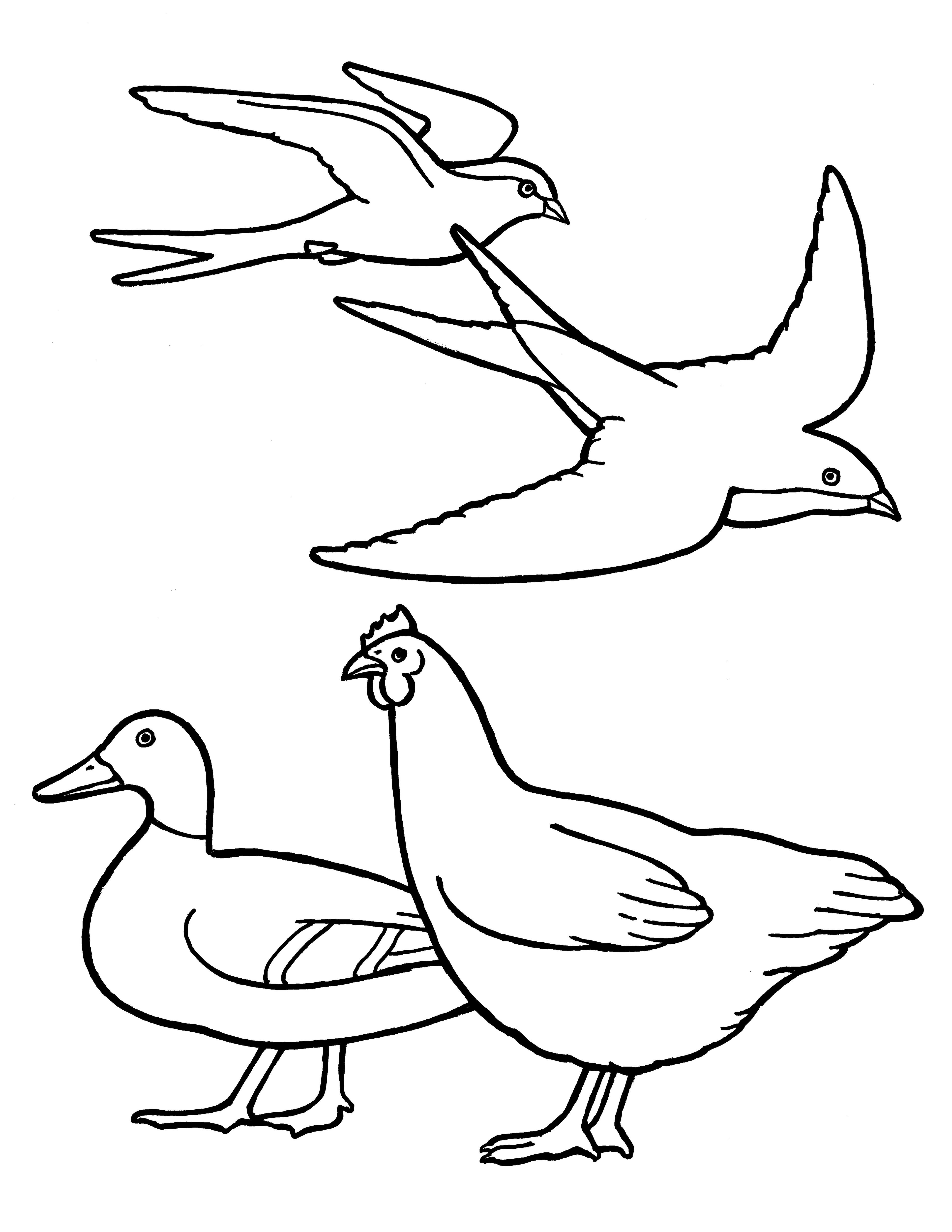 A line drawing of birds from the nursery manual Behold Your Little Ones (2008), page 35.