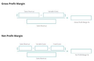 Gross profit margin and net profit margin for one month