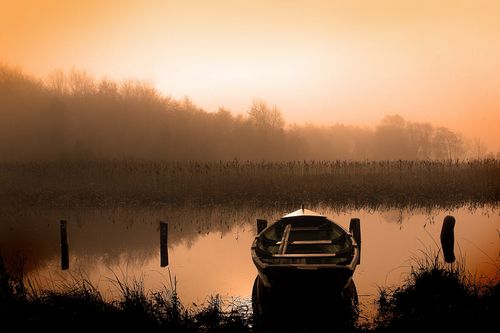 The sun rises beyond a tree line, with low-lying fog over a lake and rowboat.