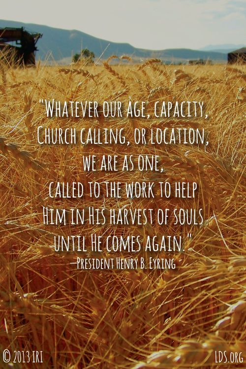 An image of a field of wheat paired with a quote by President Henry B. Eyring: “Whatever our … capacity, … we are as one, called to the work.”