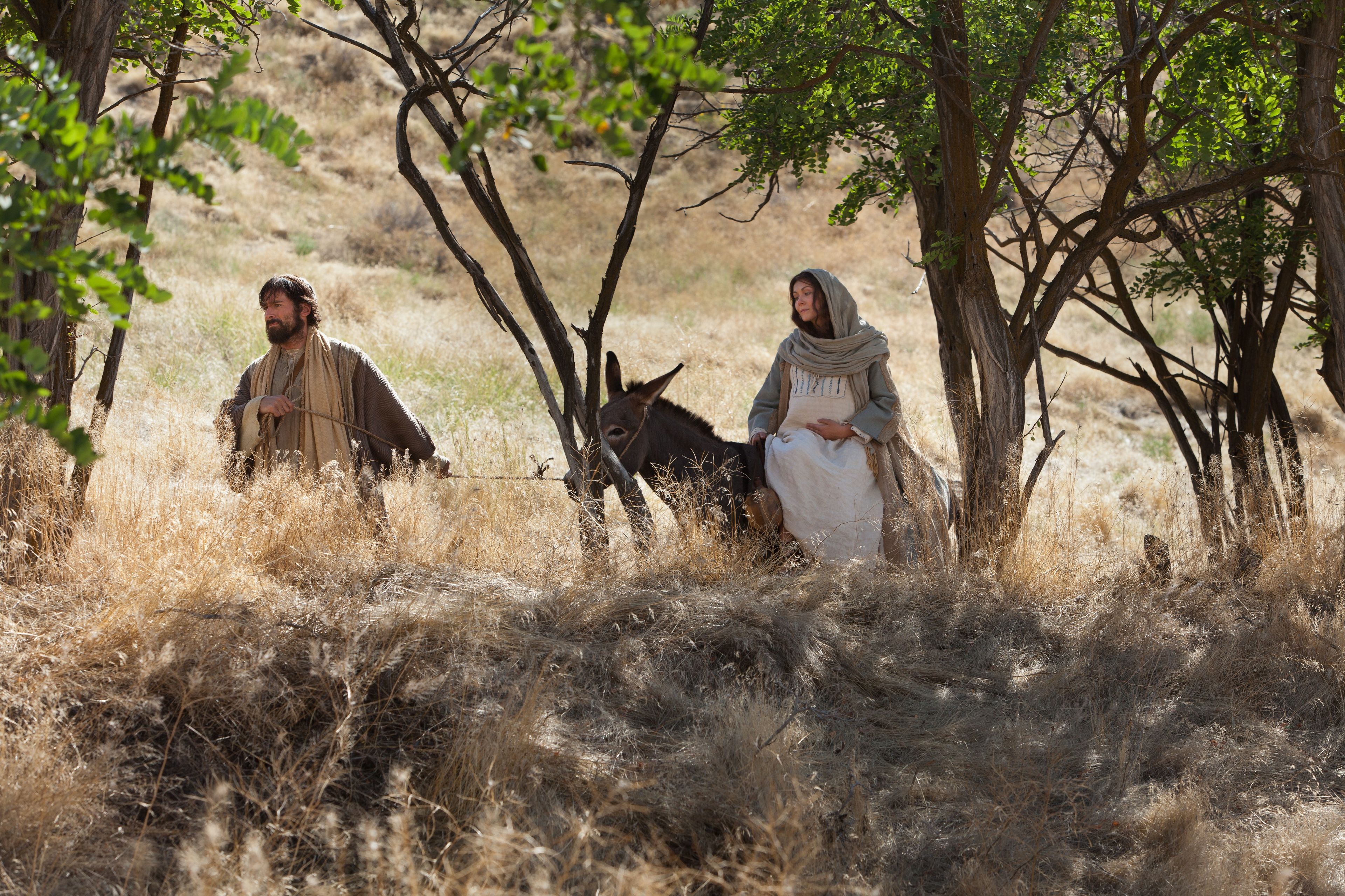 Mary rides on a donkey as she travels with Joseph to Bethlehem.