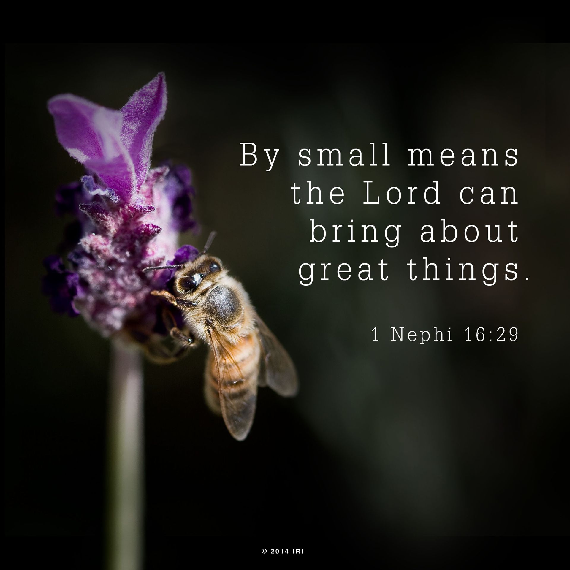 “By small means the Lord can bring about great things.”—1 Nephi 16:29 © N/A ipCode 1.
