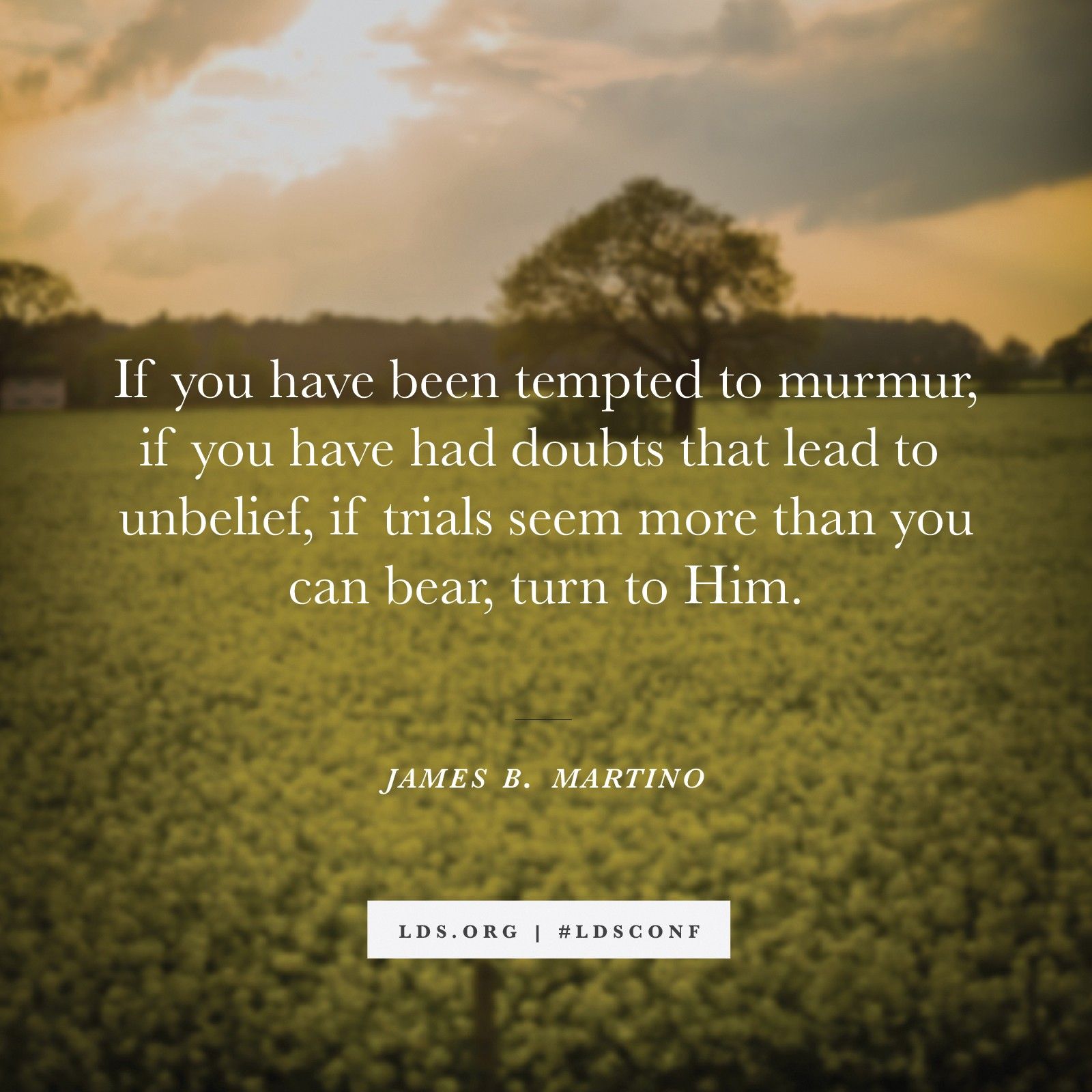 “If you have been tempted to murmur, if you have had doubts that lead to unbelief, if trials seem more than you can bear, turn to Him.” —Elder James B. Martino, “Turn to Him and Answers Will Come”