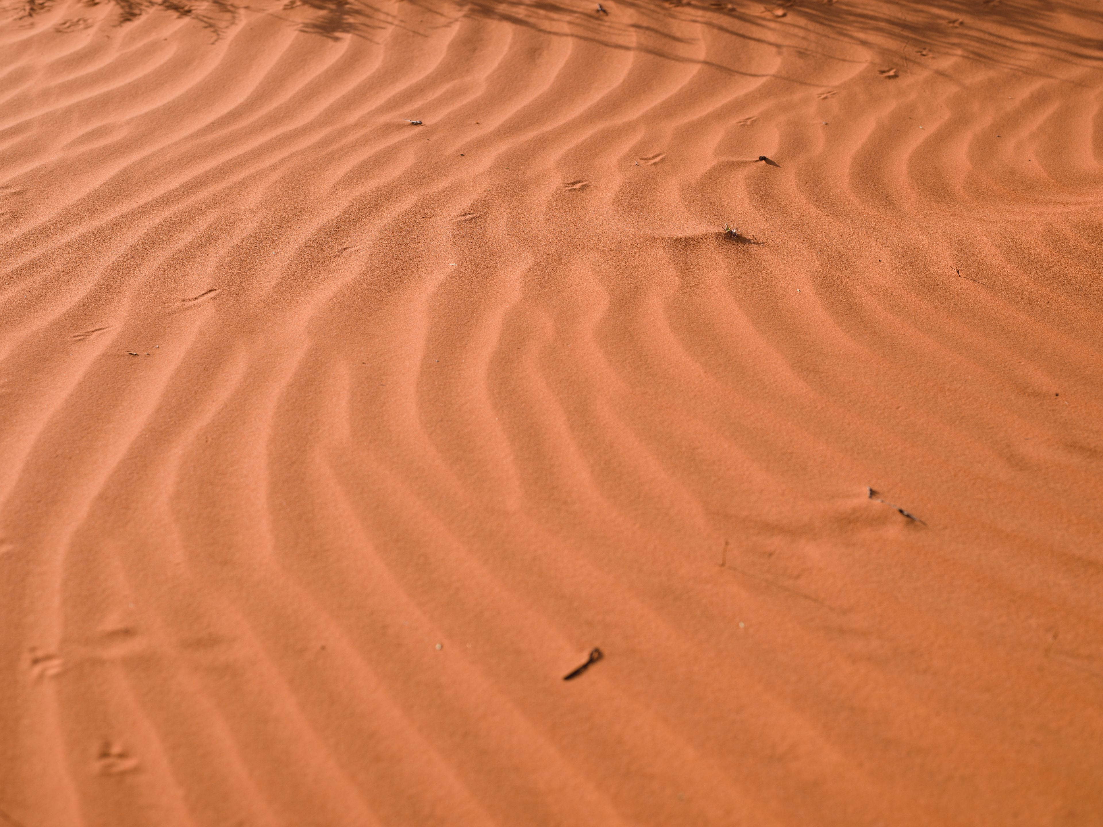 Small ridges formed in red sand.