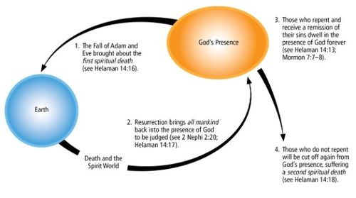 circle diagram