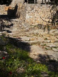 stone steps