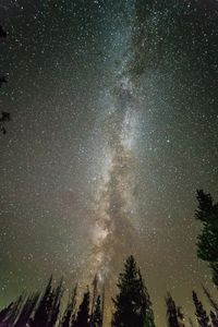 stars in the Milky Way