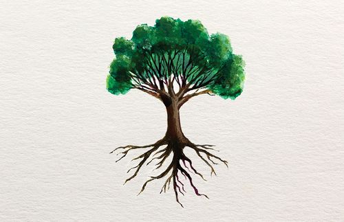 Drevo živih s koreninami in vejami