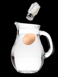 pitcher, salt, and egg