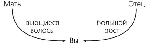 схема, унаследованные черты