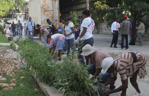 Planting trees in Haiti