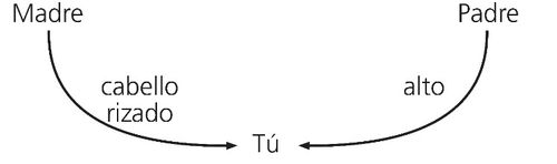 diagram, inherited traits