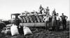 Men sitting on bags of potatoes