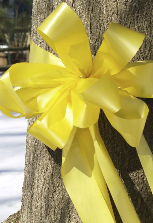 yellow ribbon around tree