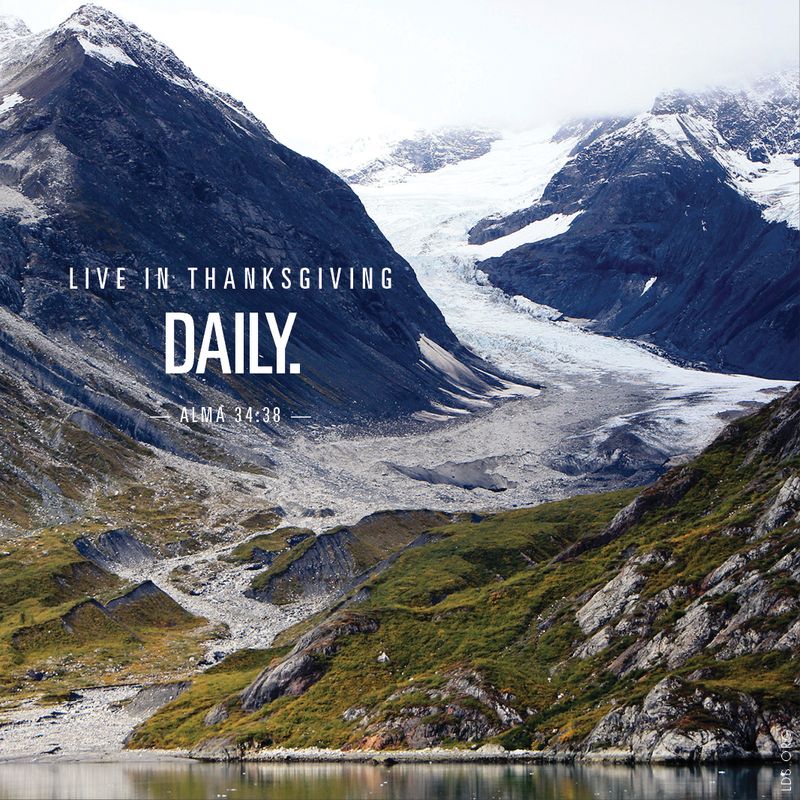 “Live in thanksgiving daily.”—Alma 34:38
