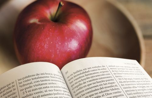 fruit and scriptures