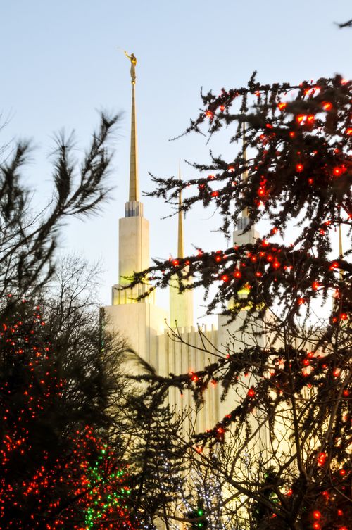 A view of part of the Washington D.C. Temple, with three of the spires visible between trees covered in Christmas lights.
