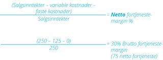 Julelysinstallasjon: beregning av netto fortjenestemargin