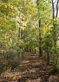 portion of the Chillicothe Trail