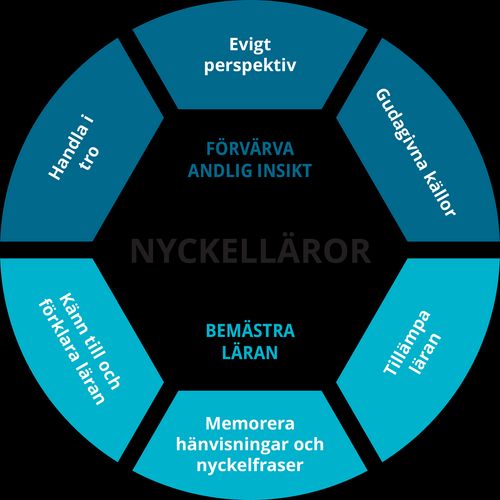 Utbildningsöversikt över nyckelläror