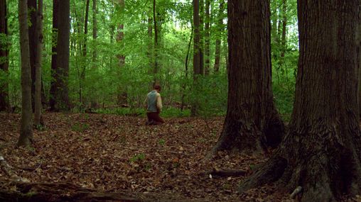 Joseph Smith kneeling in the sacred grove when God the Father and His son Jesus Christ appeared to Him.