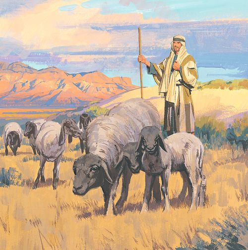 gembala dengan domba