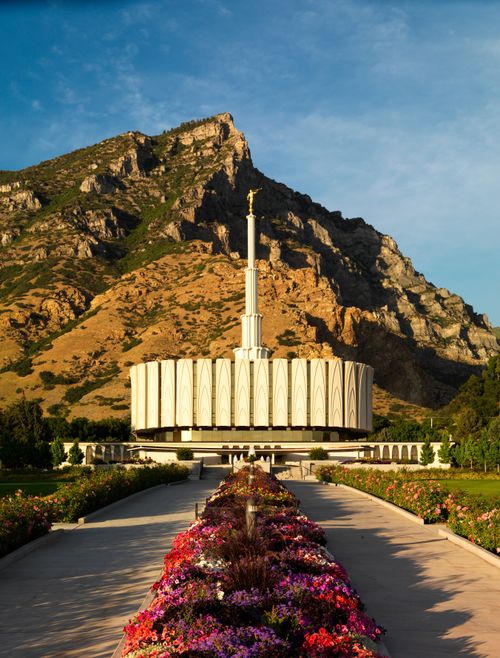 The front of the Provo Utah Temple in the late afternoon, with a row of flowers leading up toward the temple and a large mountain in the background.