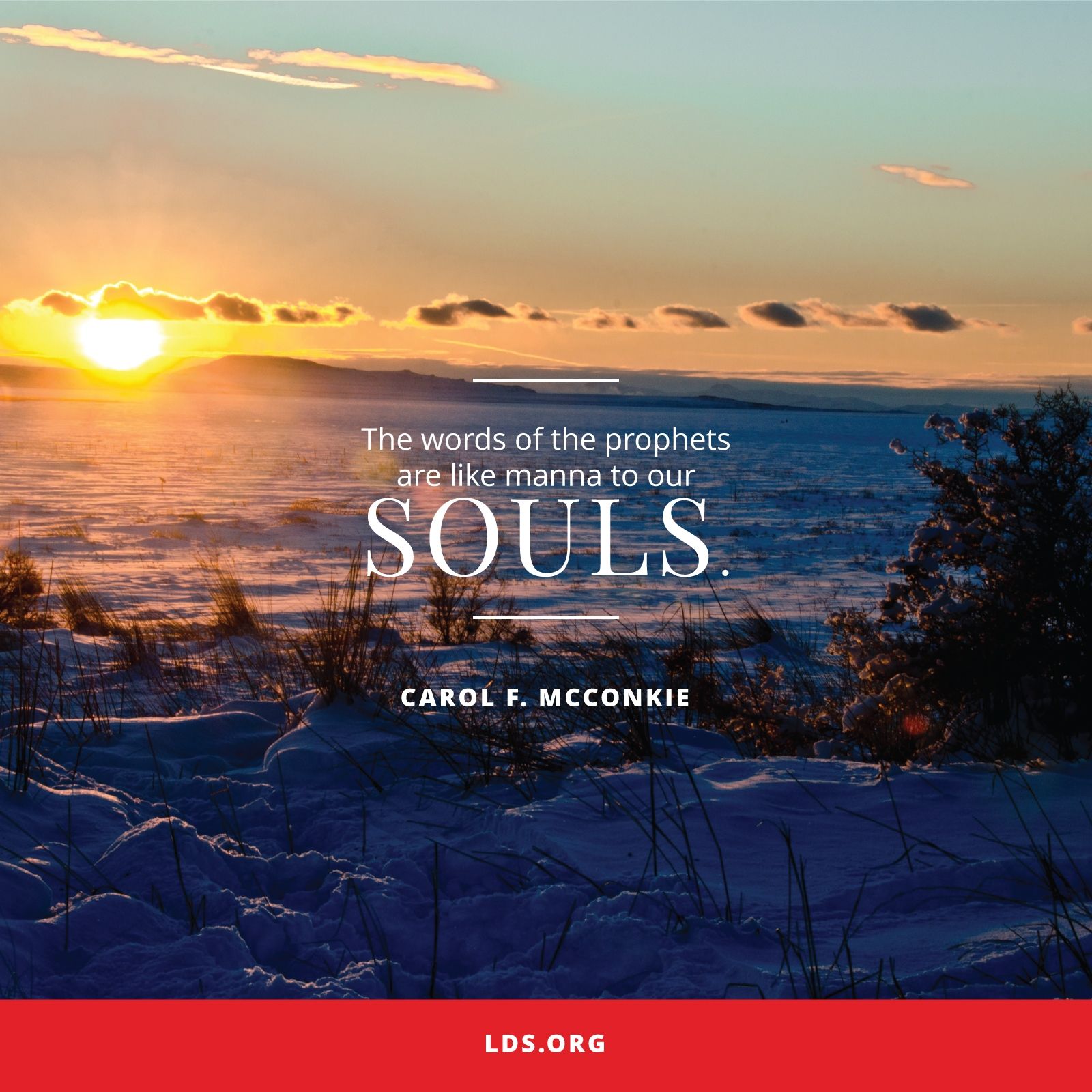 “The words of the prophets are like manna to our souls.”—Sister Carol F. McConkie, “Live according to the Words of the Prophets” © See Individual Images ipCode 1.