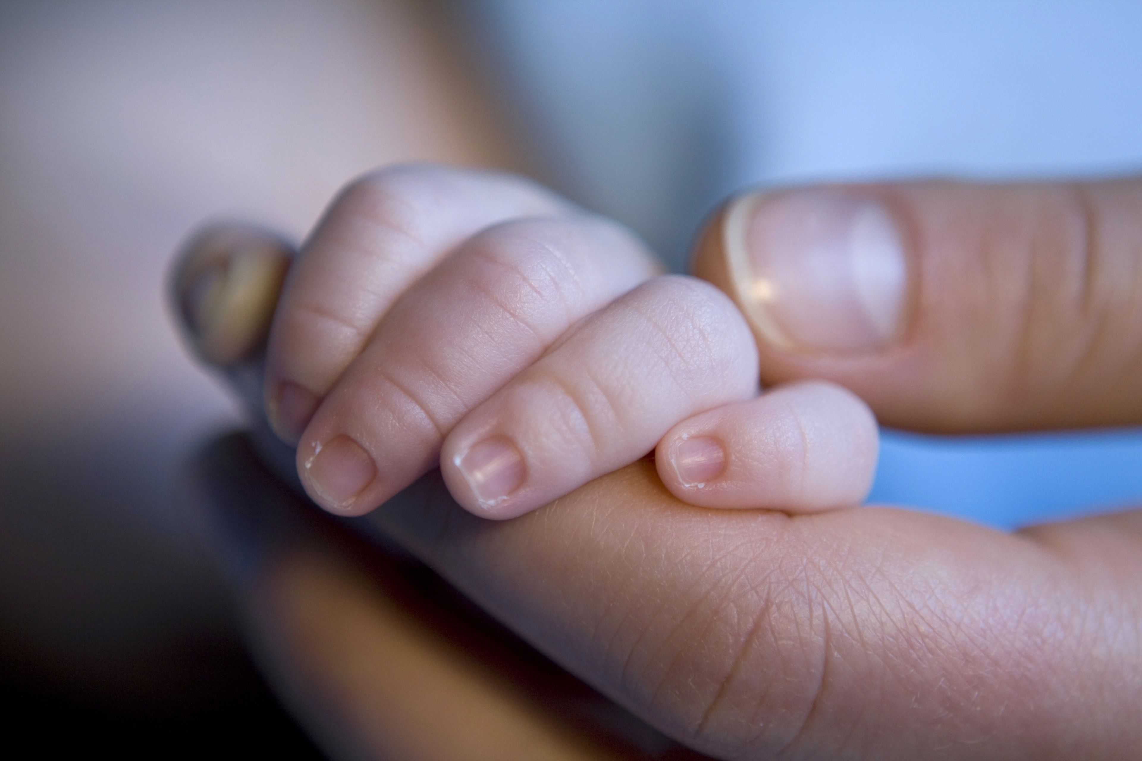 An adult holding hands with an infant.