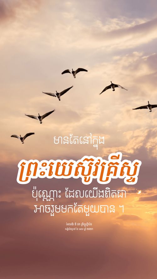 ផ្ទាំង​រូបភាព