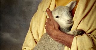 man holding a lamb