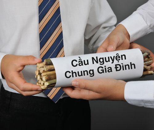 đứa trẻ cầm một bó que