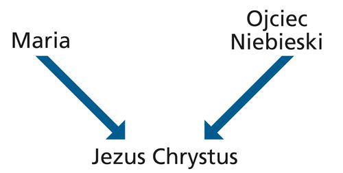 Diagram with the words Mary and Heavenly Father and arrows pointing to the words Jesus Christ.