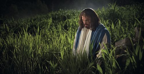 Christ kneeling in Gethsemane. Outtakes include the back of the savior shown kneeling in the tall grass, close-up of his face looking afraid, in a distance with blood on his face and hands near a river, an angel comforting him, profile portrait, and a glowing angel coming toward Christ who is huddled on the ground.