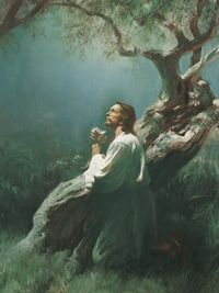 Jesus Praying in Gethsemane